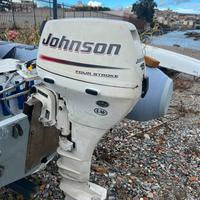 Fuoribordo johnson 15 cv 4t