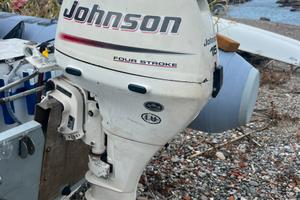 Fuoribordo johnson 15 cv 4t
