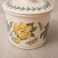 The botanic garden zuccheriera vintage