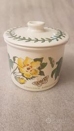 The botanic garden zuccheriera vintage