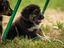 Immagine 4