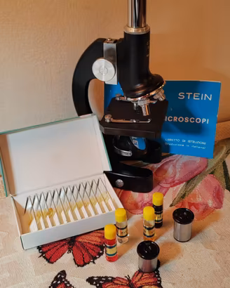 microscopio stein