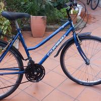 bicicletta city bike