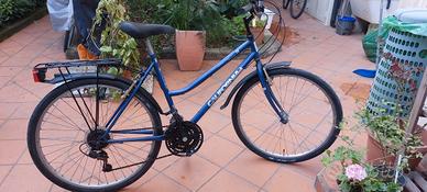 bicicletta city bike