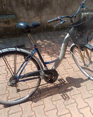 Bici da donna 28" Ruota e copertone  poster Nuovi