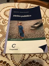 Manuale Diritto Pubblico Bin-Pitruzzella 2023