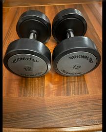 Technogym 2 Manubri Professionali Premium da 12 kg
