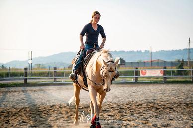 Cavallo appendix 8 anni