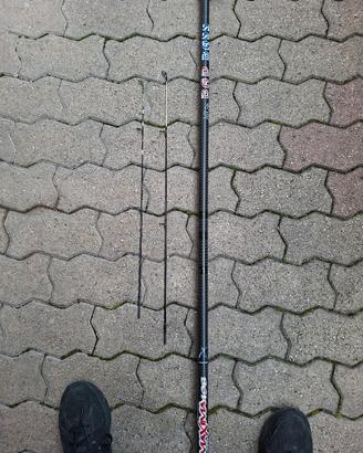 canna da pesca