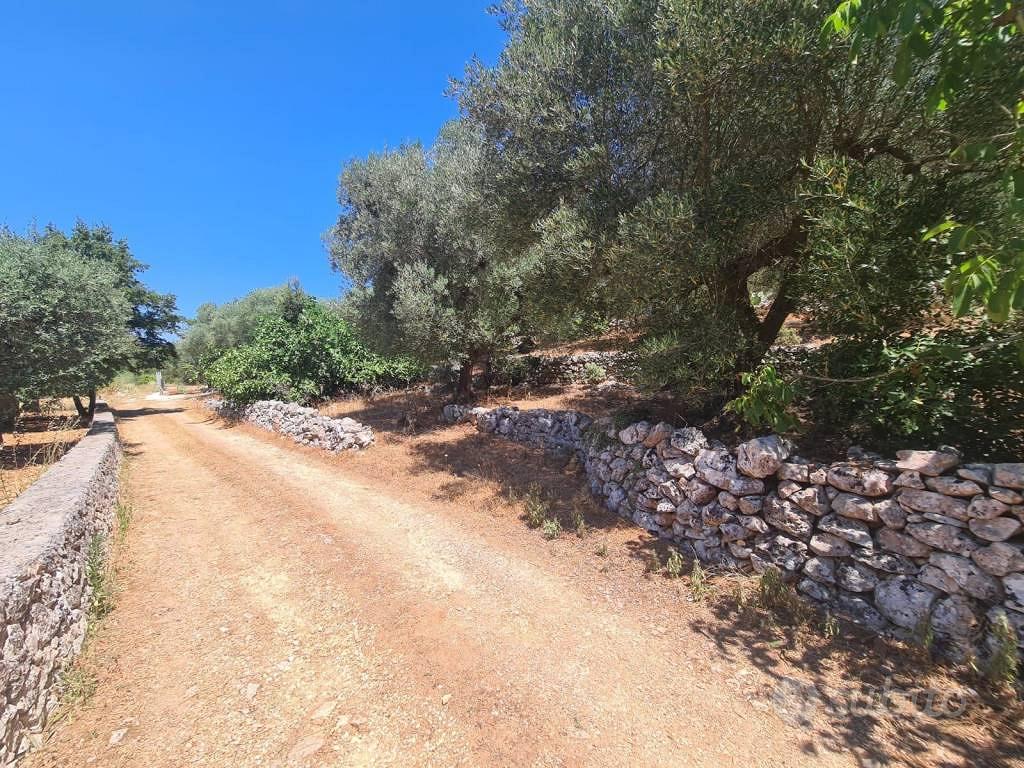 Terreno di 3550 m² a Alberobello - Vista 2