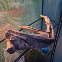 Accessori per acquario