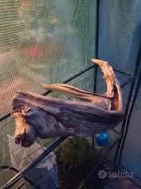 Accessori per acquario