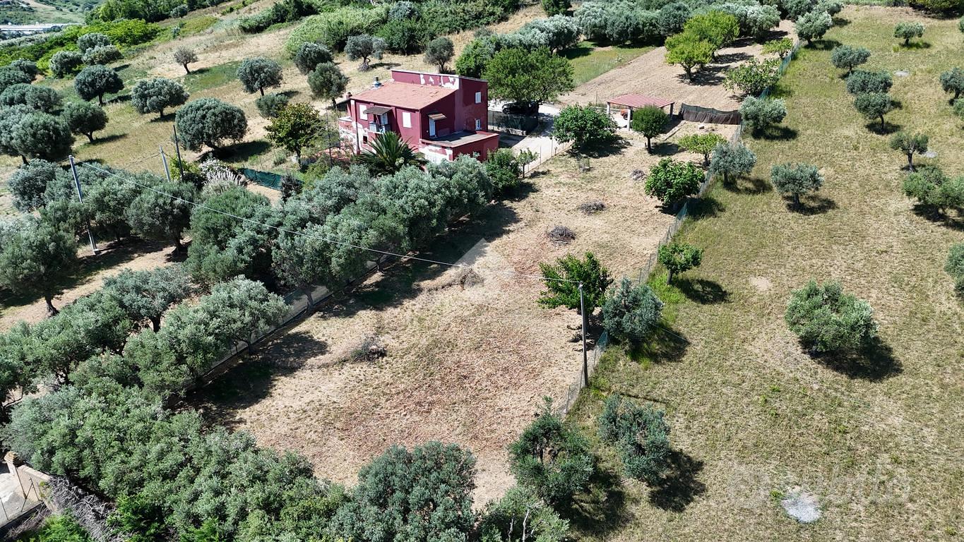 TERRENO A TORTORETO - Vista 4