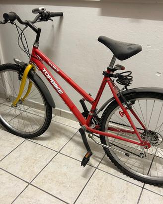Bici da passaggio