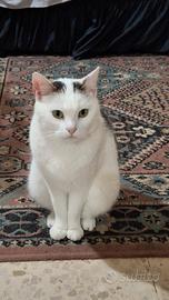 Asia,Mia,Cindy e Perla