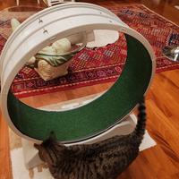 Ruota tapis roulant per gatti