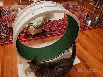 Ruota tapis roulant per gatti