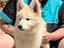 Immagine 1