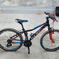 bici Wolf misura 24 