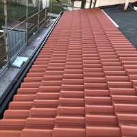 R.L Rifacimento Tetto