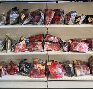 Fanali/Fari posteriori Volkswagen vari modelli