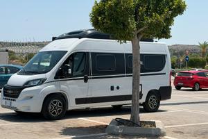 Van Laika Ecovip