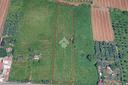 ter-agricolo-a-frascati