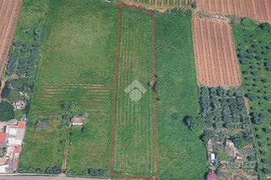 TER. AGRICOLO A FRASCATI