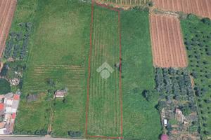 TER. AGRICOLO A FRASCATI