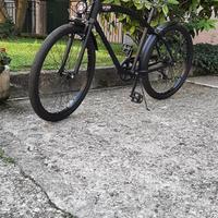 Bicicletta Café Racer Waimea 26’’