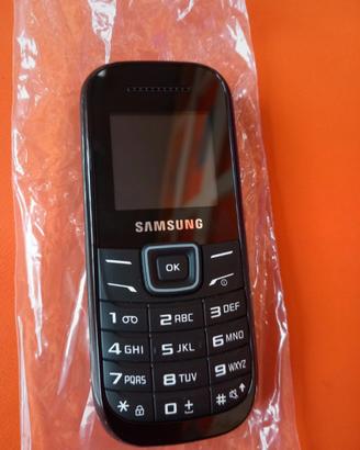 Samsung GT- e 1200