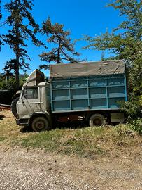 Camion Iveco 50 per trasporto animali