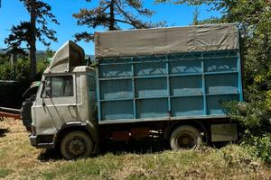 Camion Iveco 50 per trasporto animali