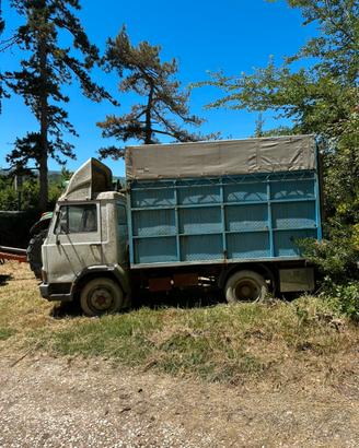 Camion Iveco 50 per trasporto animali