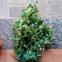 Fiori, foglie ed edera finti