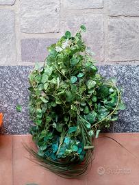 Fiori, foglie ed edera finti