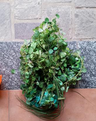 Fiori, foglie ed edera finti