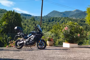 YAMAHA TRACER 9 2024