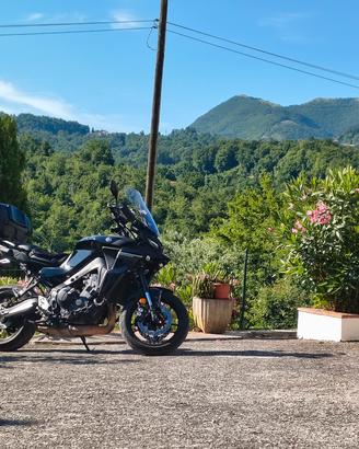 YAMAHA TRACER 9 2024