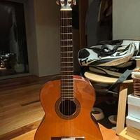 chitarra Classica Paco Castillo 202