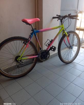 bicicletta Mountain bike uomo 
