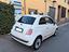 Immagine 14