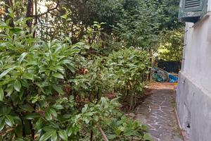 casa semindipendente a Bagnone -Ms