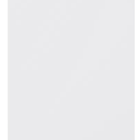 Caldaia Viessmann Vitodens 100-W da 32kW