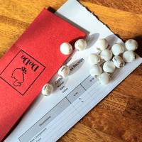 Dodo pepita in resina bianca