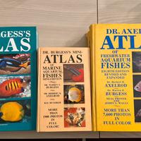 Atlas