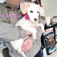 Fiorella vuole una casa