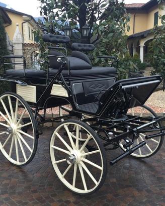 Carrozza per cavalli breck da gara