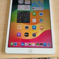 I pad Apple