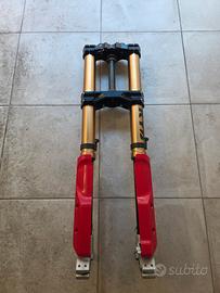 Avantreno Ducati Desert X Rally